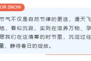 大雪公众号推文公众号排版怎么做？15个雪景样式素材与4套模板直接套用