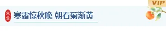 2026寒露校园公众号排版素材推荐|样式模板一键套用 1 样式ID:178379 寒露节气图片标题简约水彩样式