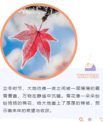 样式ID：149977 立冬节气上下图文浅紫色样式
